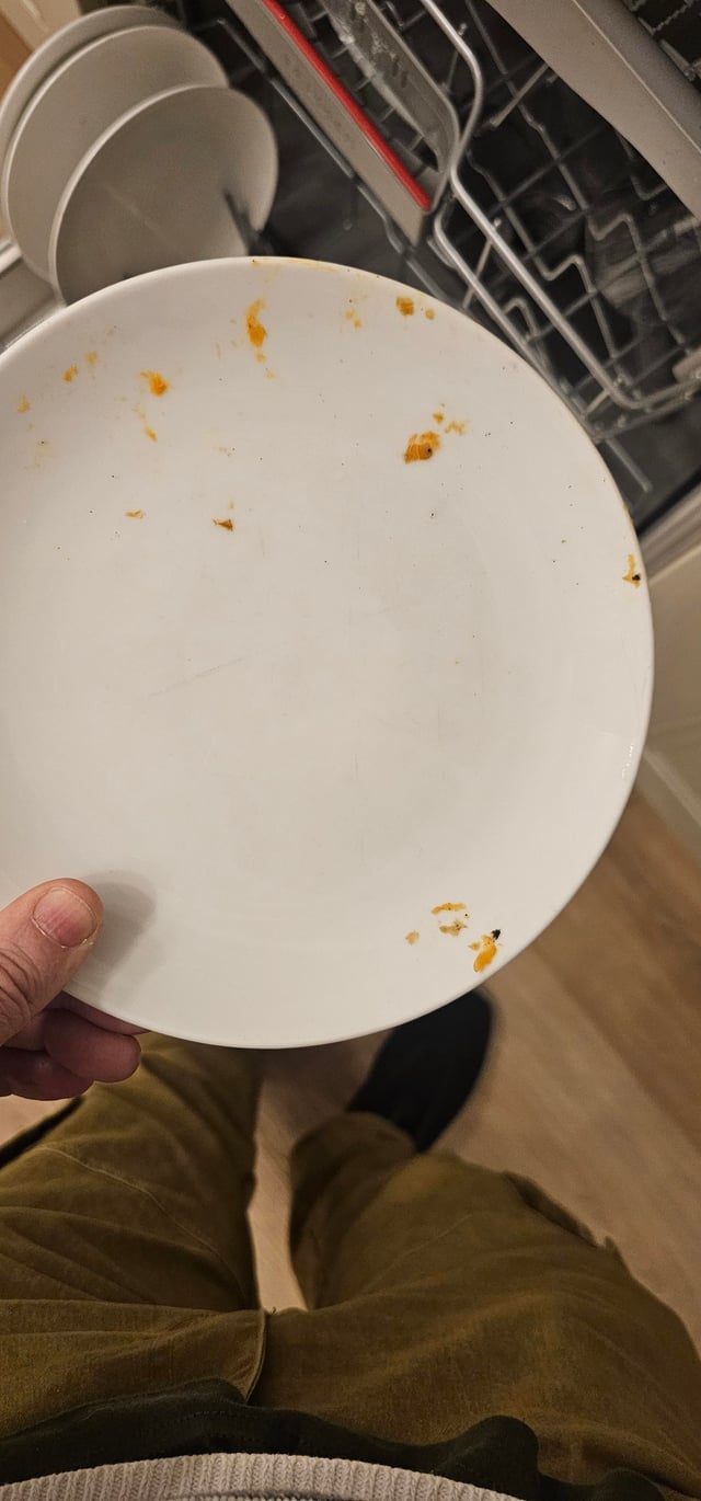 Bosch Dishwasher Not Washing Cleaning