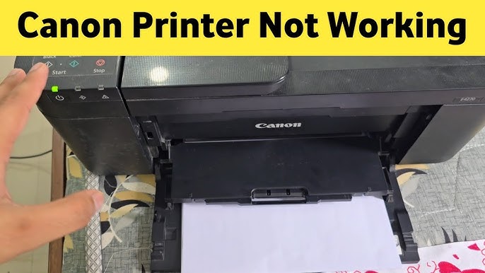 Canon Printer Scanner Not Working