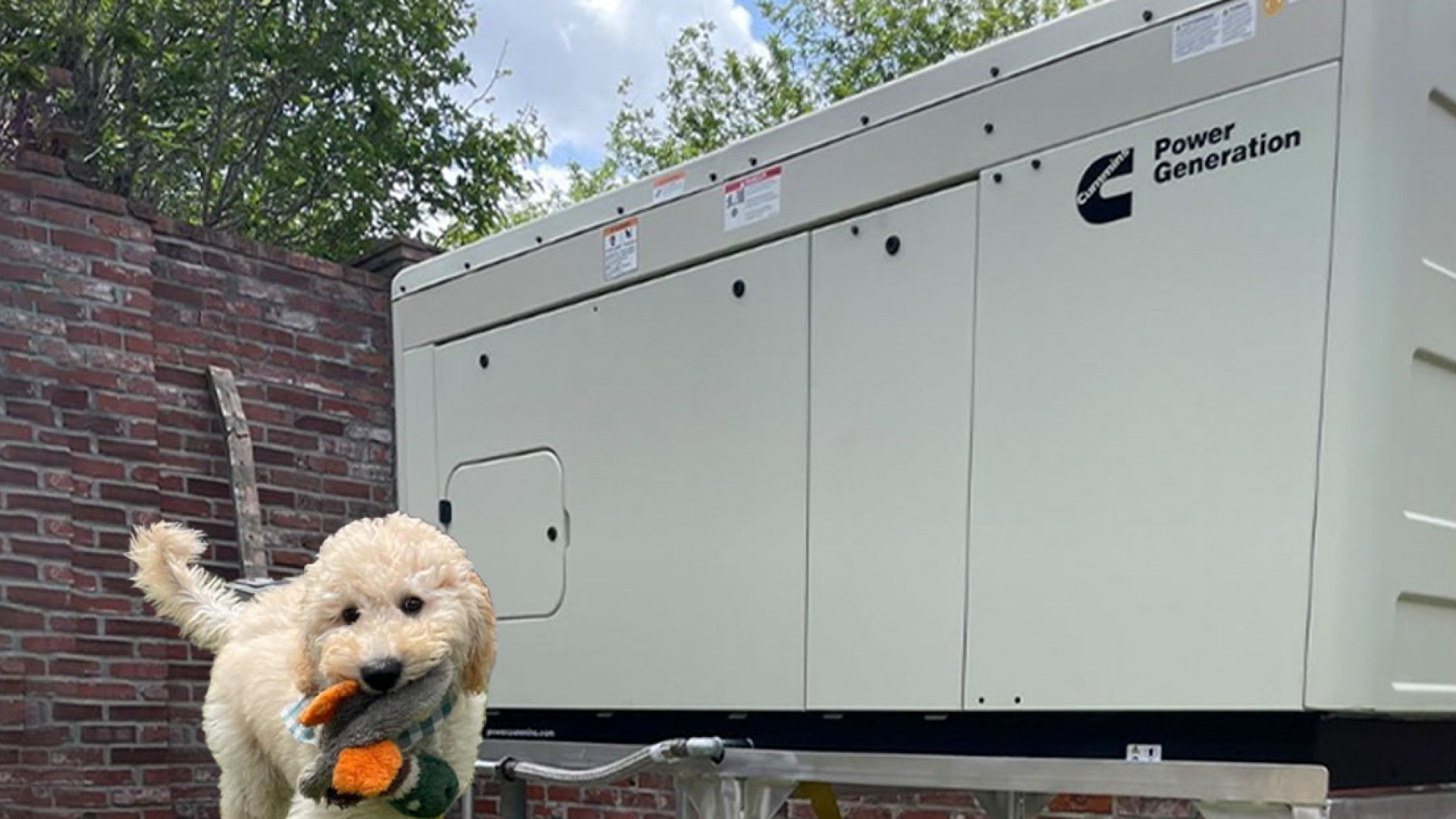 Cummins Standby Generator Problems