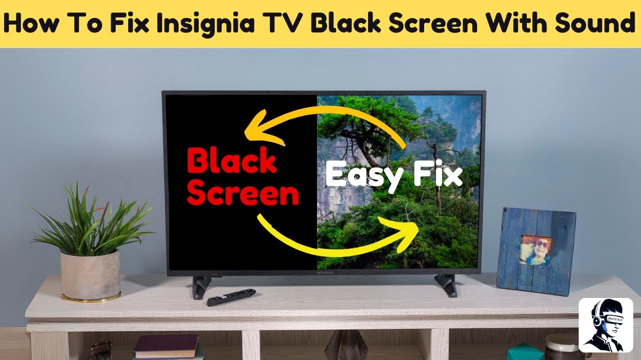 Insignia Tv No Picture But Sound