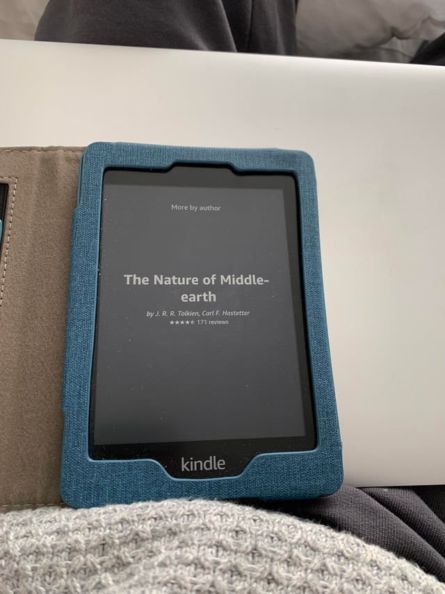 Kindle Frozen Reset Not Working