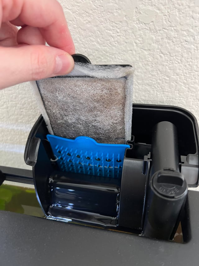 Top Fin Filter Not Working