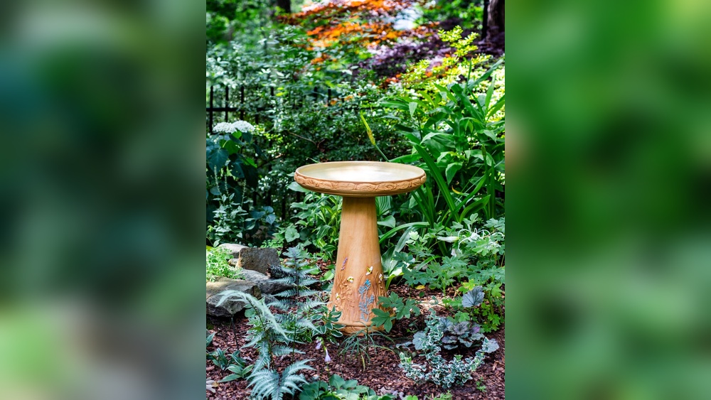 Bird Baths Arent Just Cute Theyre The Missing Piece In Your Garden Layout