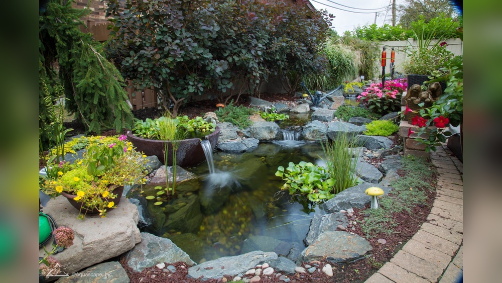 Pond Landscaping Isnt About Water Its About What Happens Around It